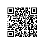 M55342H03B3E01PWS QRCode