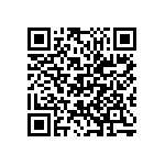 M55342H03B8B87RWS QRCode