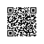 M55342H04B16E2RWS QRCode