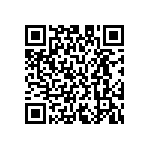 M55342H04B17E4RWS QRCode