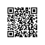 M55342H04B1F00RWS QRCode