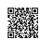 M55342H04B4B99MWS QRCode