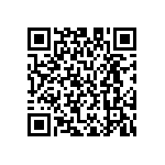 M55342H04B5B83RWS QRCode