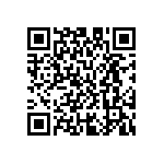 M55342H05B13J0RWS QRCode