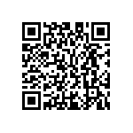 M55342K02B11B5RWS QRCode