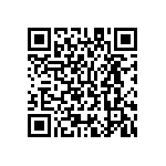 M55342K02B1E00RT5V QRCode