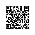 M55342K02B200BRBS QRCode