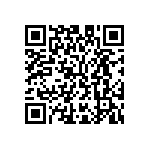 M55342K02B2B21RT5 QRCode