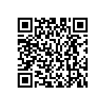 M55342K02B5B05RWS QRCode