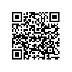 M55342K03B10B4RT0 QRCode