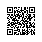 M55342K04B10J0RWSV QRCode