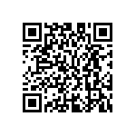 M55342K04B13B5RWS QRCode