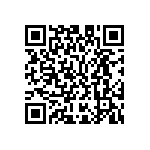 M55342K04B2B10RWS QRCode