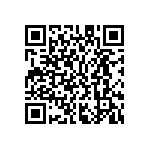 M55342K04B365JRWSV QRCode