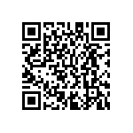 M55342K06B13E0RT5V QRCode