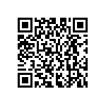 M55342K06B361BRT5 QRCode