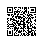 MKP385511125JPP2T0 QRCode