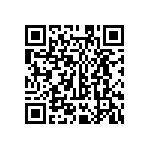 MKP385533063JPM2T0 QRCode