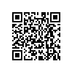 MKP385568063JPP4T0 QRCode