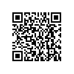 MP4-1E-1E-1L-1S-00 QRCode