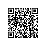 MP4-1Q-1Y-1Y-1Y-00 QRCode