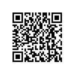 MS22T1-C22-4080-VSM-1-00 QRCode