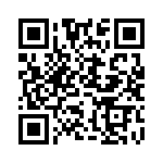 MS27467T13B22S QRCode