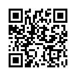 NPT2022 QRCode