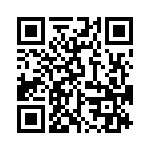 OSTT4070450 QRCode