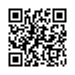 P0300EA QRCode