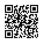 P38291E QRCode