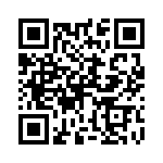 P4-12RHT6-E QRCode