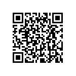 P41C47DHO103-Z04 QRCode