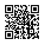 P4KE100-B QRCode