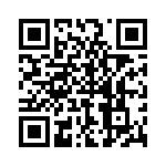 P4KE10A-B QRCode