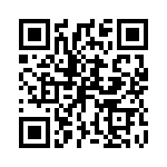 P4KE11C QRCode