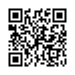 P4KE13A-G QRCode