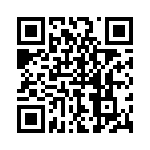 P4KE13C QRCode