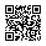 P4KE170A QRCode