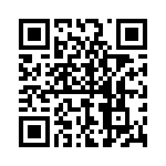 P4KE180-B QRCode