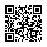 P4KE20-E3-73 QRCode