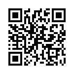 P4KE20A QRCode