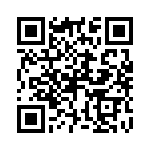 P4KE22-B QRCode