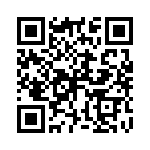 P4KE22CA QRCode