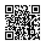 P4KE24A-B QRCode