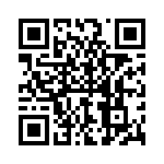 P4KE250-G QRCode