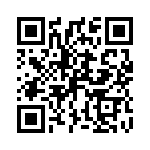 P4KE33C QRCode