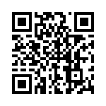 P4KE39-B QRCode