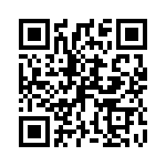 P4KE51A QRCode