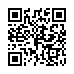 P4KE9-1-B QRCode